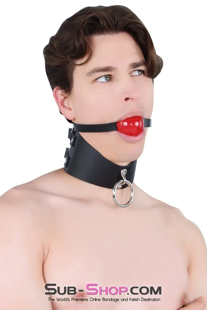 1656A      Surrender 3” Black Leather Posture Collar